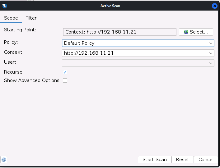 active scan properties