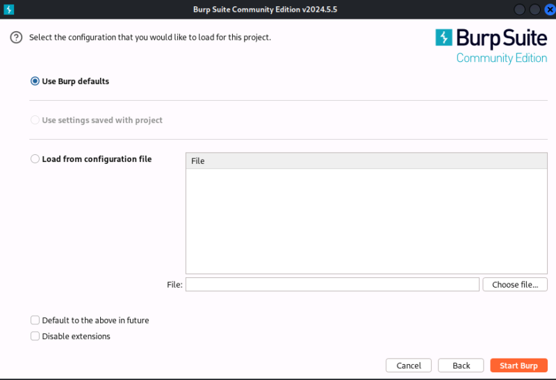 burp suite atart settings 2