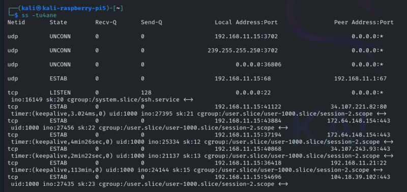 ss -tu4ane