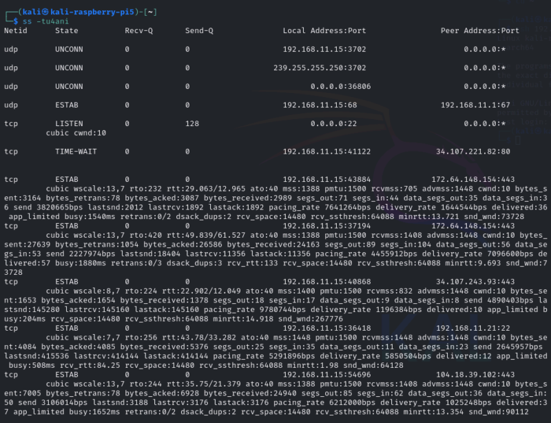 ss -tu4ani