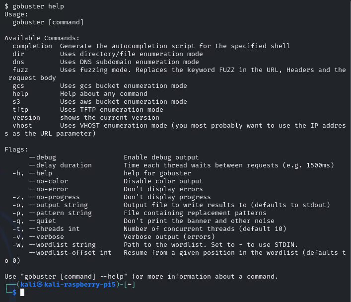 gobuster help