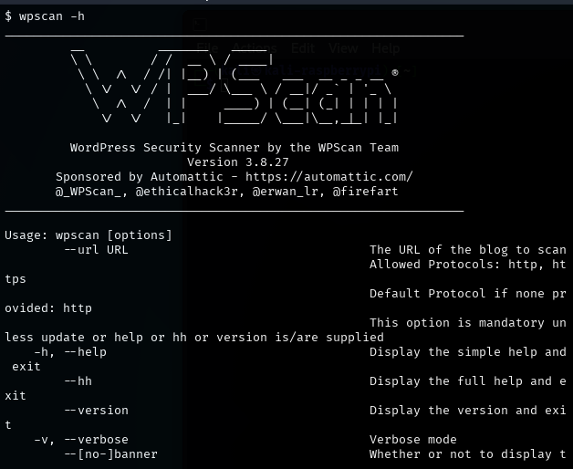 wpscan -h