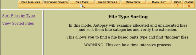 file type