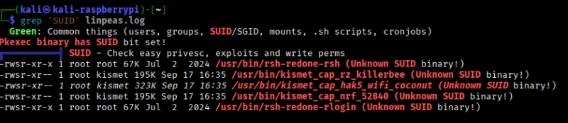 grep SUID