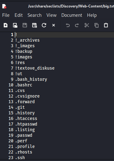 big.txt