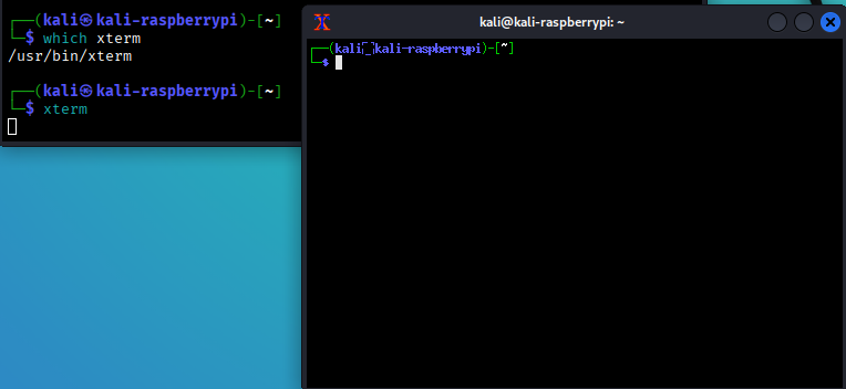 xterm